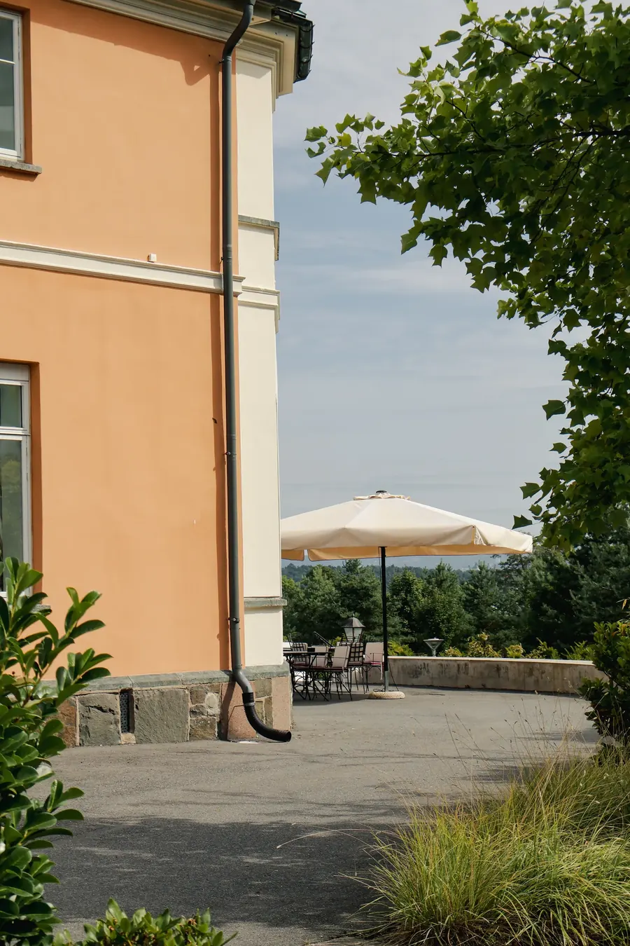 The garden