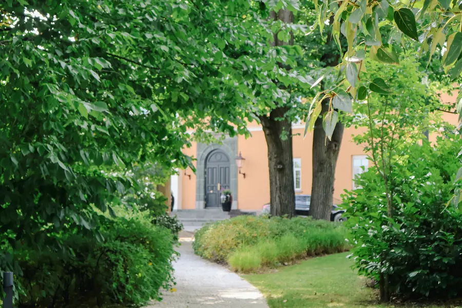 The garden