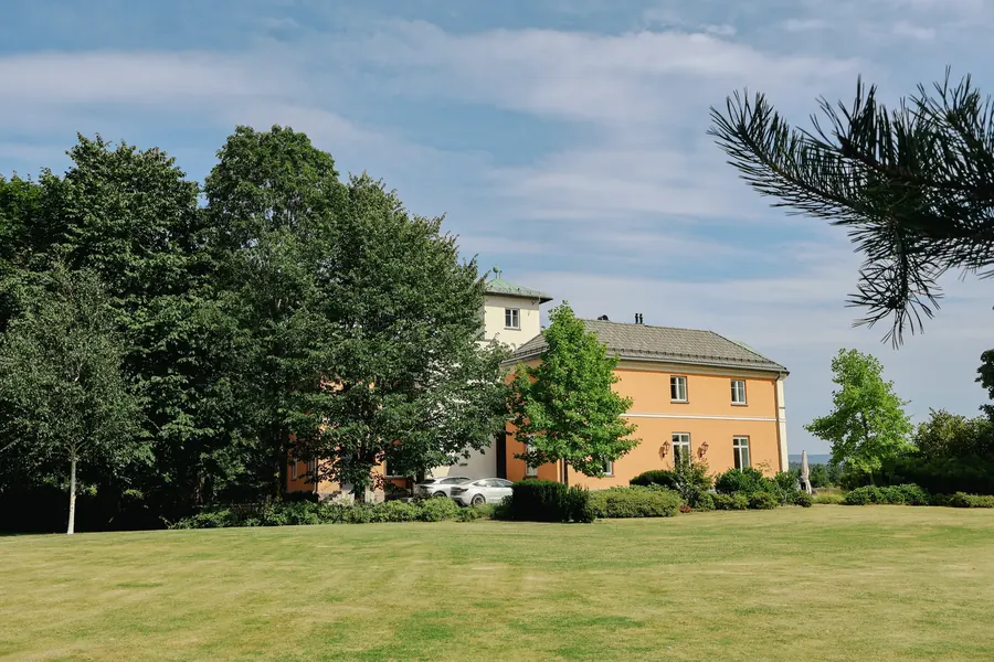 The garden