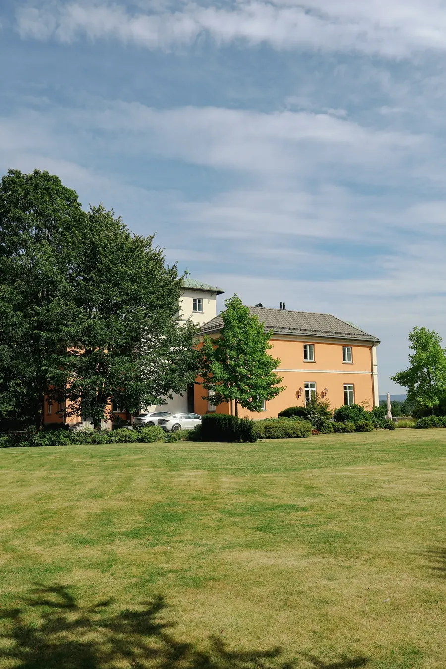 The garden