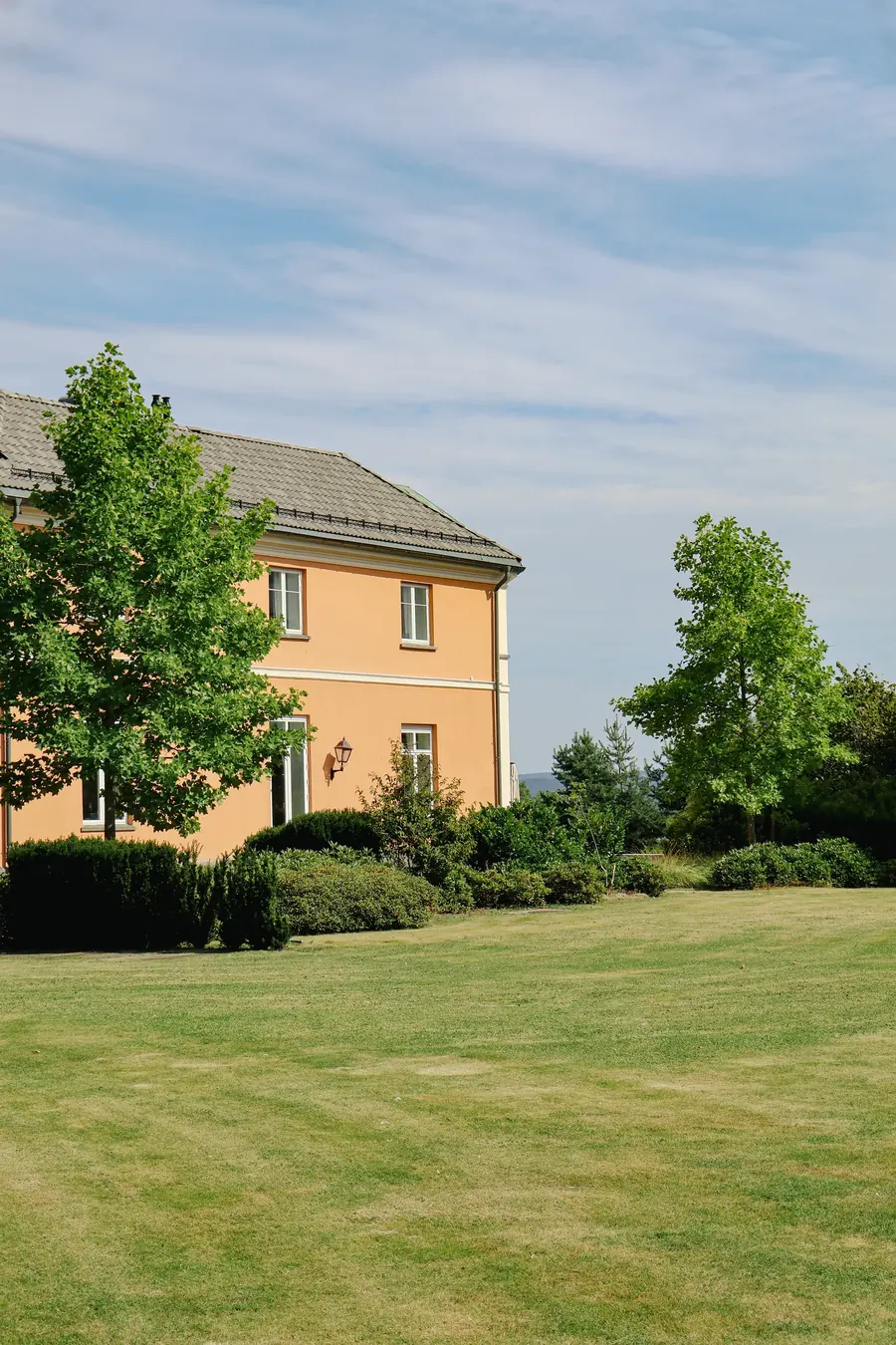 The garden