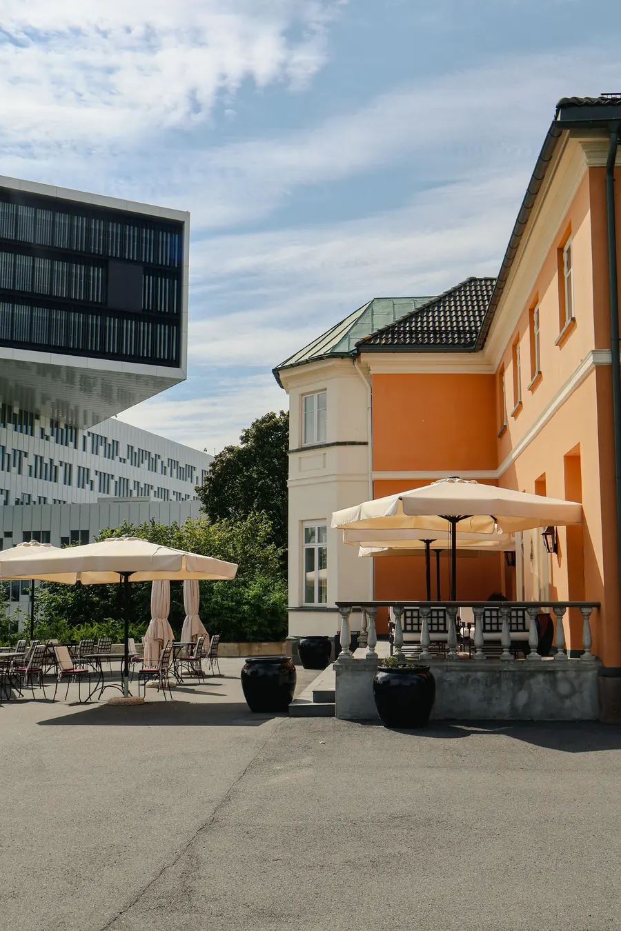 The terrace