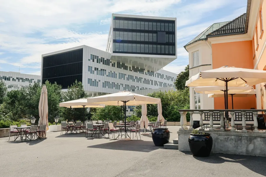 The terrace