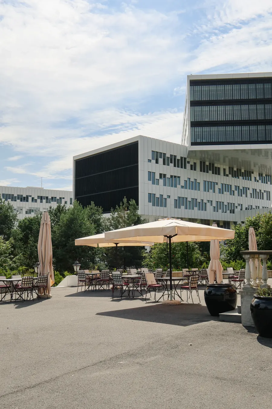The terrace