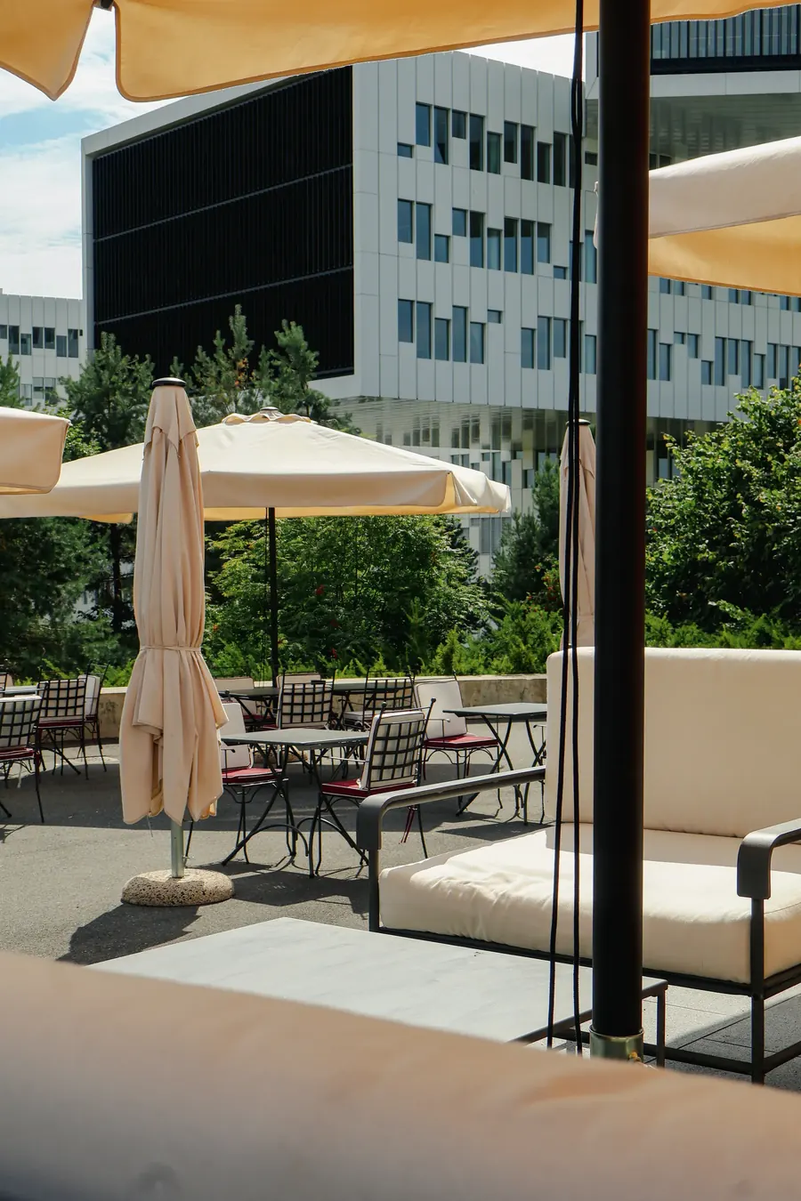 The terrace