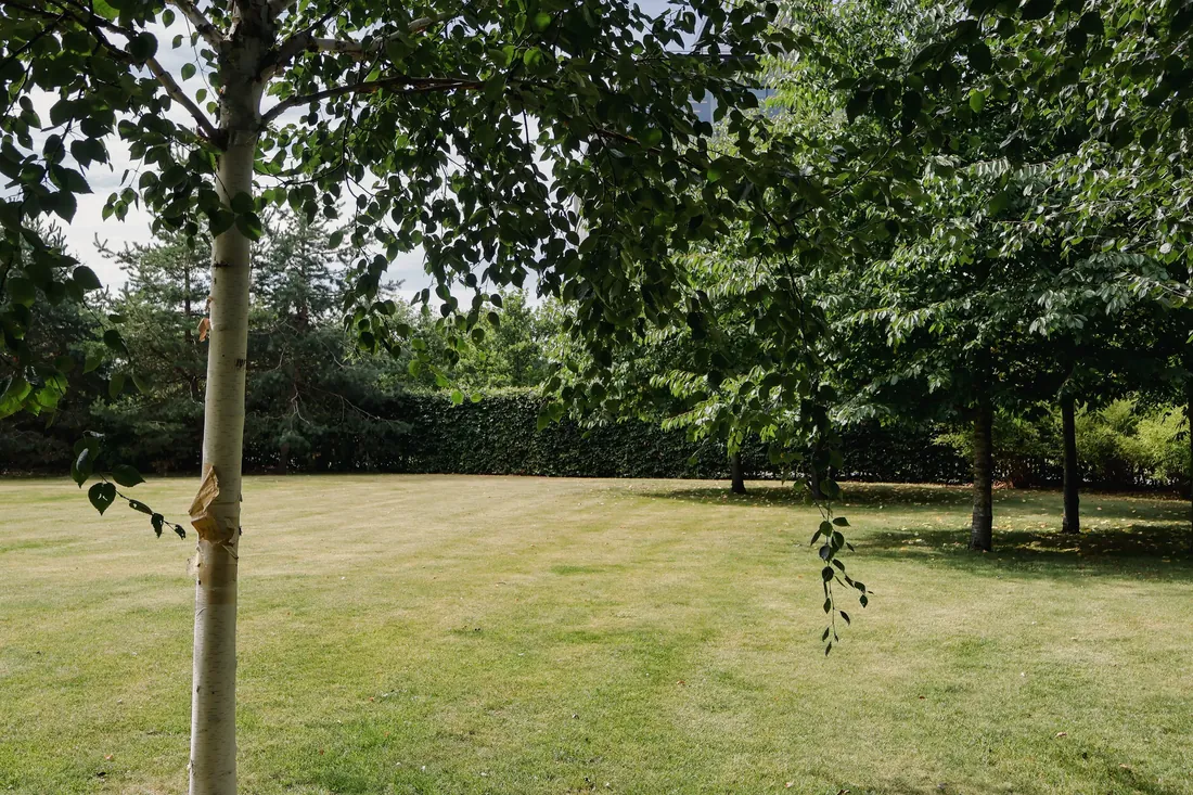 Plenen i hagen